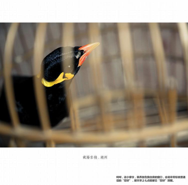 ザイ ヤン イン 潮州市 エクステリア 写真